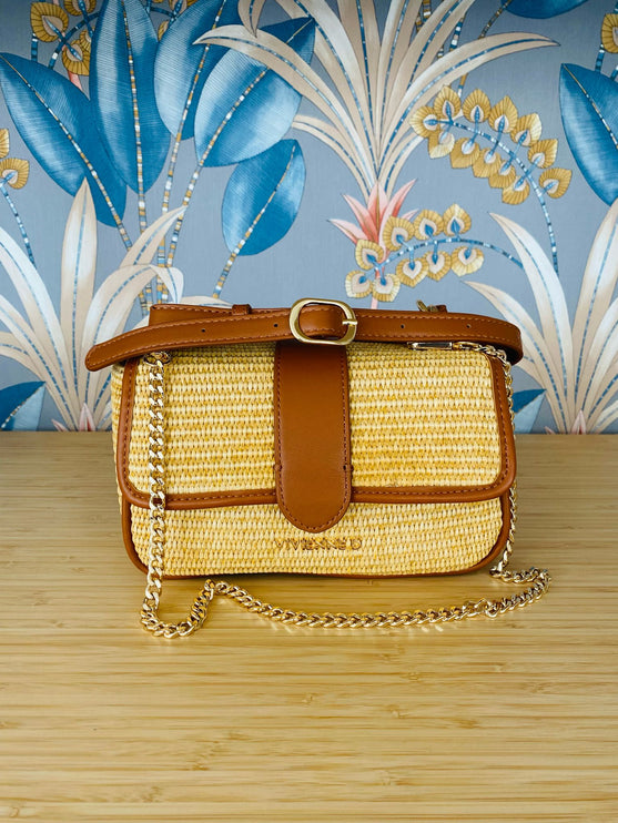 Borsa Vivienne D