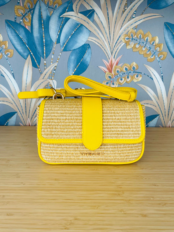Borsa Vivienne D